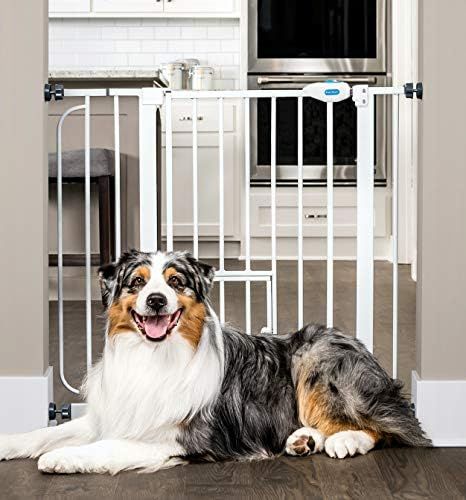 Carlson Extra Wide Walk Through Pet Gate with Small Pet Door, Includes 4-Inch Extension Kit, Pres... | Amazon (US)