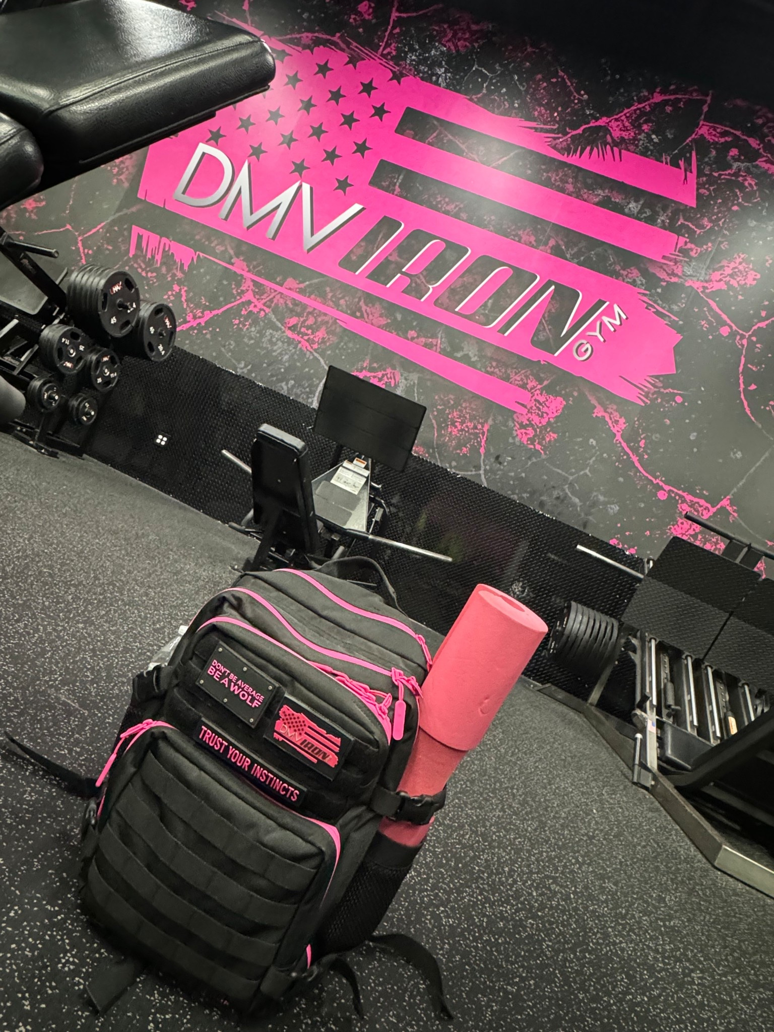 Everything I keep in my gym bag! They would make great Christmas gifts for any gym lover! 

#gym #gymaccessories #christmasgifts

#LTKFindsUnder100 #LTKGiftGuide #LTKActive