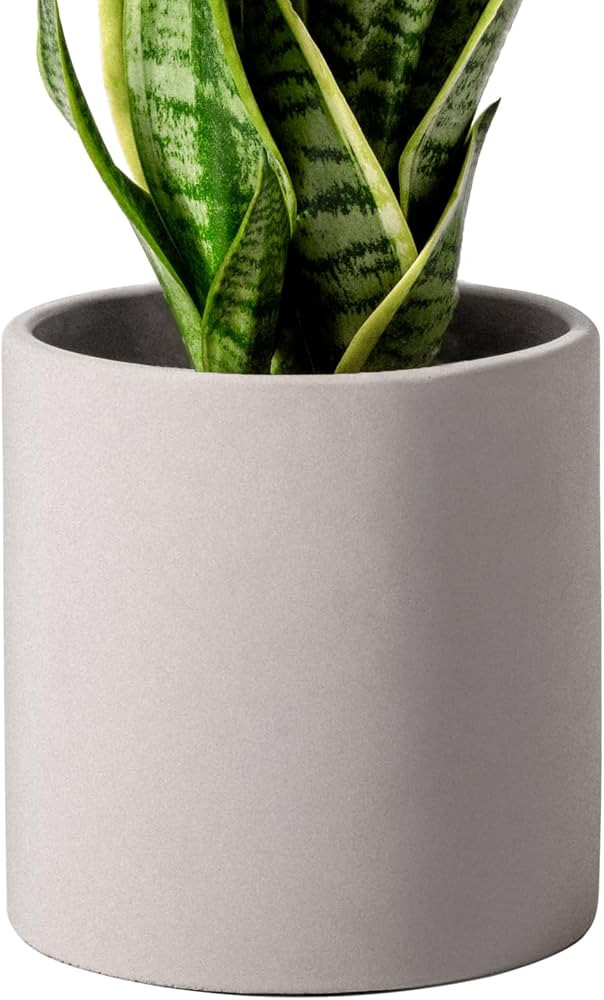 JJF Plant Pots, 7 Inch Cement Planters for Indoor Plants Flower Pots with Drainage Hole, Modern C... | Amazon (US)