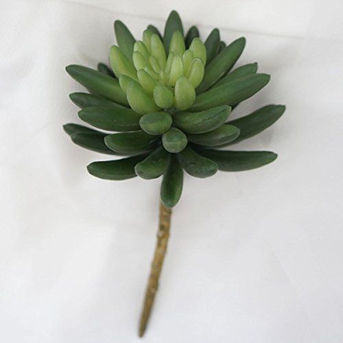 Lily Garden All Kinds of Green Artificial Succulent Plants (D) | Amazon (US)