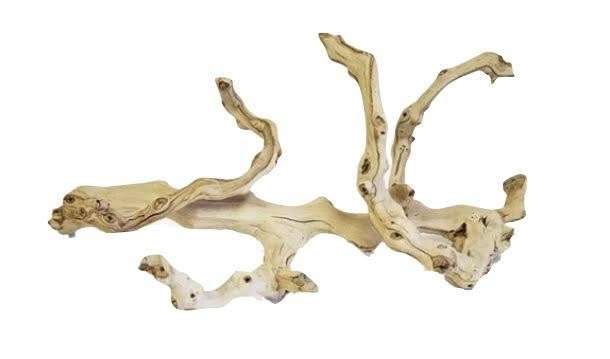 Twisted Wood Branch | Megan Molten