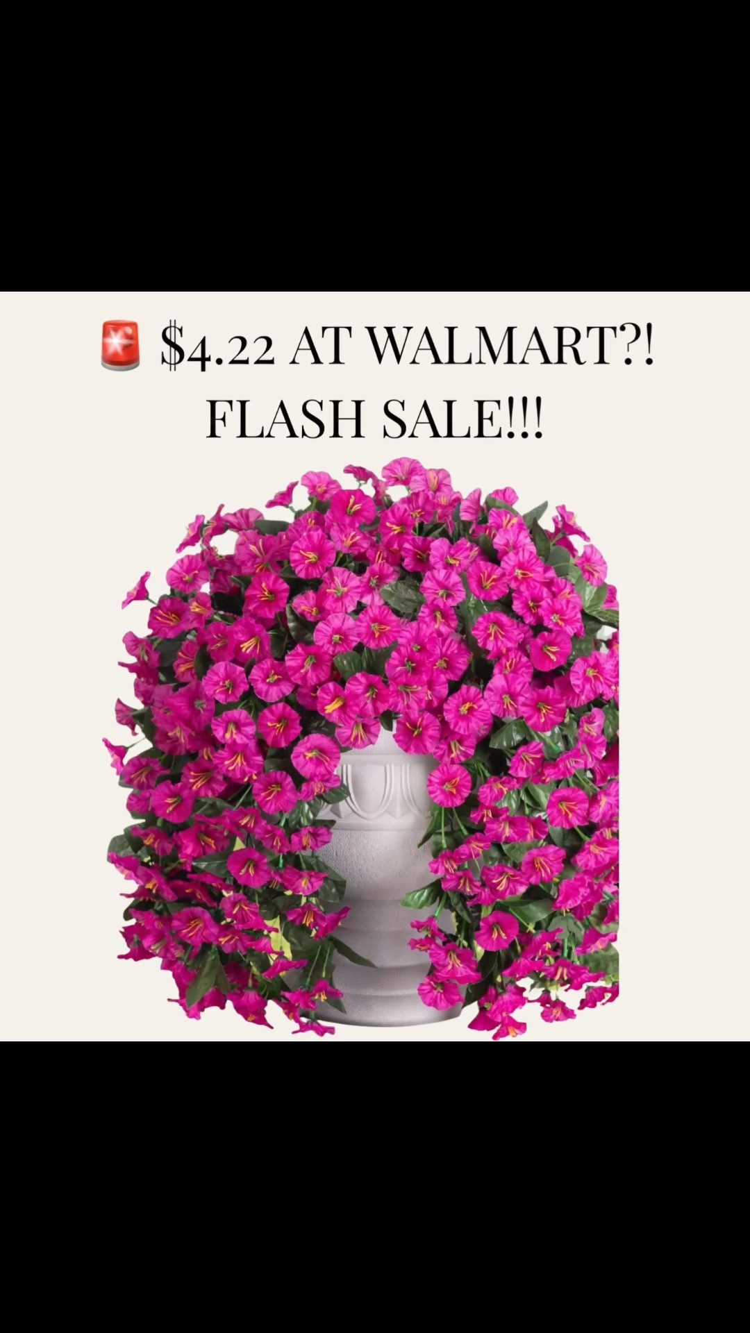 These viral TikTok flowers… but only $4.22 at Walmart?! 🌸

I’ve been seeing these EVERYWHERE and they look so real—perfect for a quick porch or patio refresh without spending a ton 🙌

I grabbed multiple because I know they won’t stay in stock long!!

#LTKHome #LTKFinds #LTKSaleAlert #WalmartFinds #WalmartDeals #SpringDecor #PorchDecor #OutdoorDecor #HomeDecorFinds 

#LTKHome #LTKU #LTKSeasonal