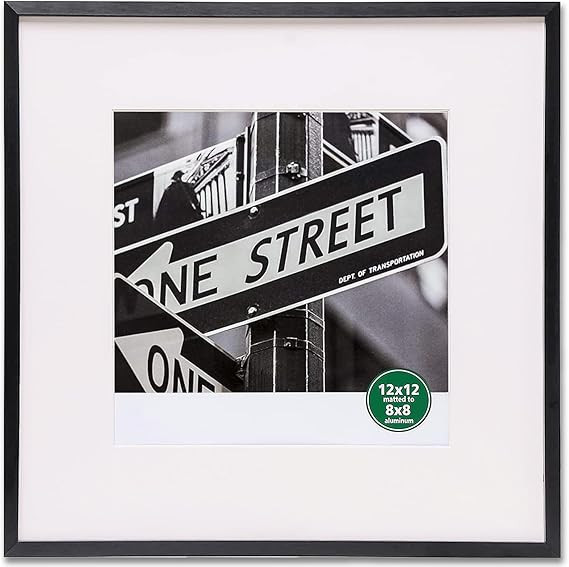 TheDisplayGuys - Contemporary Aluminum Picture Frame - Tempered Glass - Square 12x12 matted to 8x... | Amazon (US)