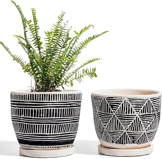 LE TAUCI Cement Planter, Plant Pots 5.5 Inch, Boho Flower Pots with Drainage Holes & Saucers, Ind... | Amazon (US)
