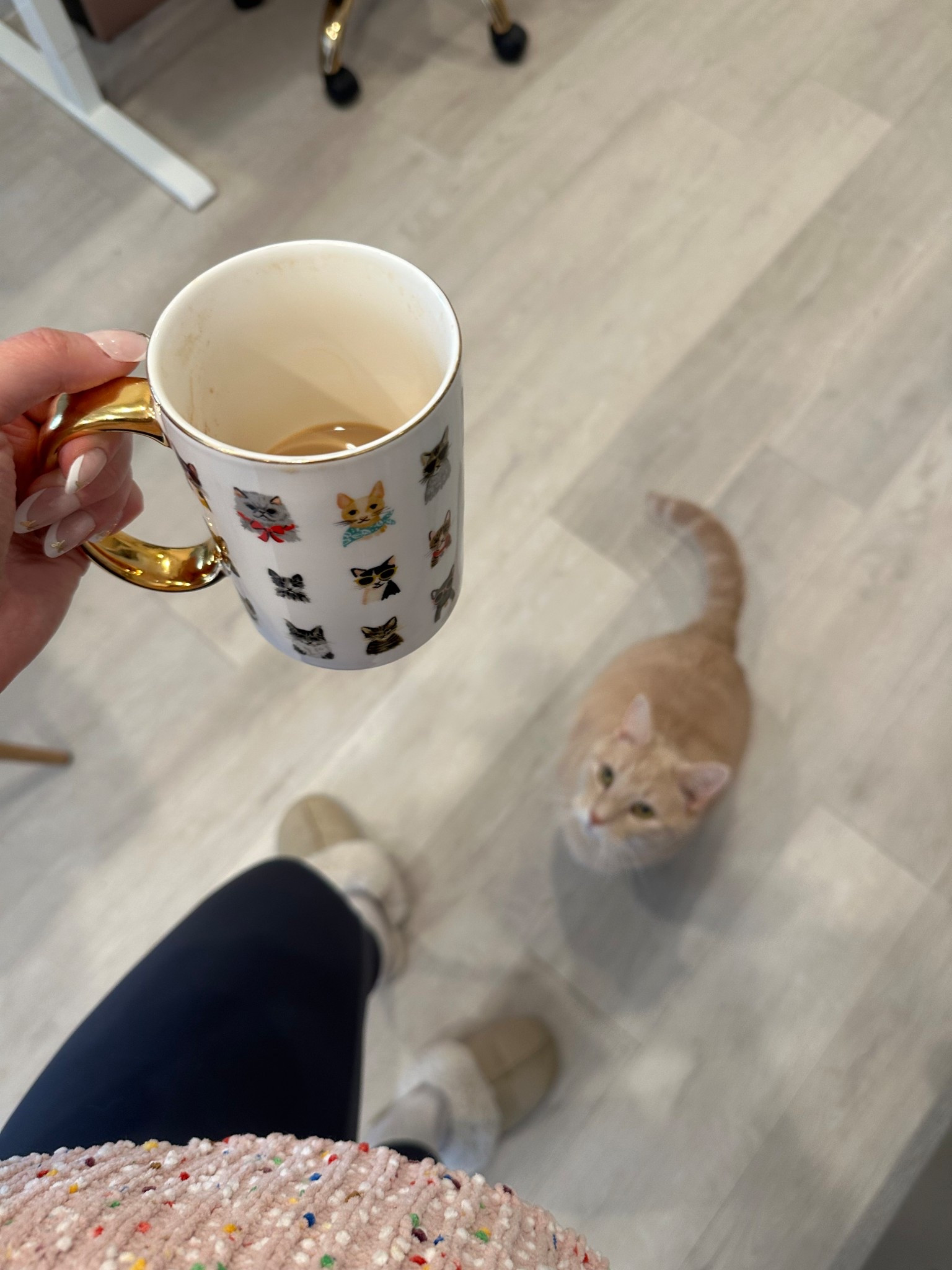 a mug any cat mom would love this holiday season ☕️🐈

#LTKCyberWeek #LTKFindsUnder50 #LTKHoliday