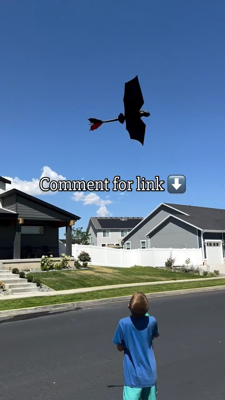 Didn’t expect this to be the hit of the day… but here we are 🐉😳

Straight outside, zero screens, nonstop fun. Worth it.

#toysforkids #kidstoys #parentingwin #summerfun #outdoorplay

#LTKmomlife #LTKKids