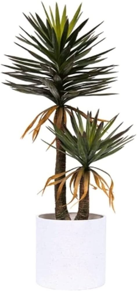 Artificial Tree Fake Potted Artificial Plant Simulation Dragon Blood Tree Fake Trees Office Store... | Amazon (US)