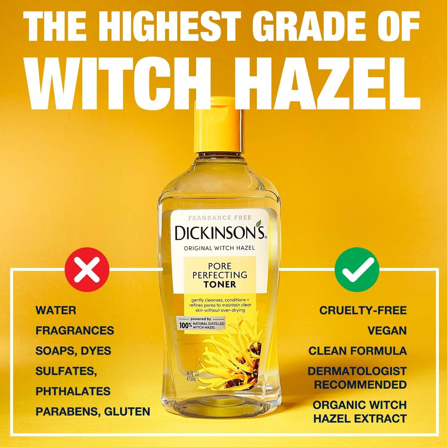 Dickinson's Original Witch Hazel Pore Perfecting Toner, 100% Natural, 16 Ounce Fragrance free | Amazon (US)