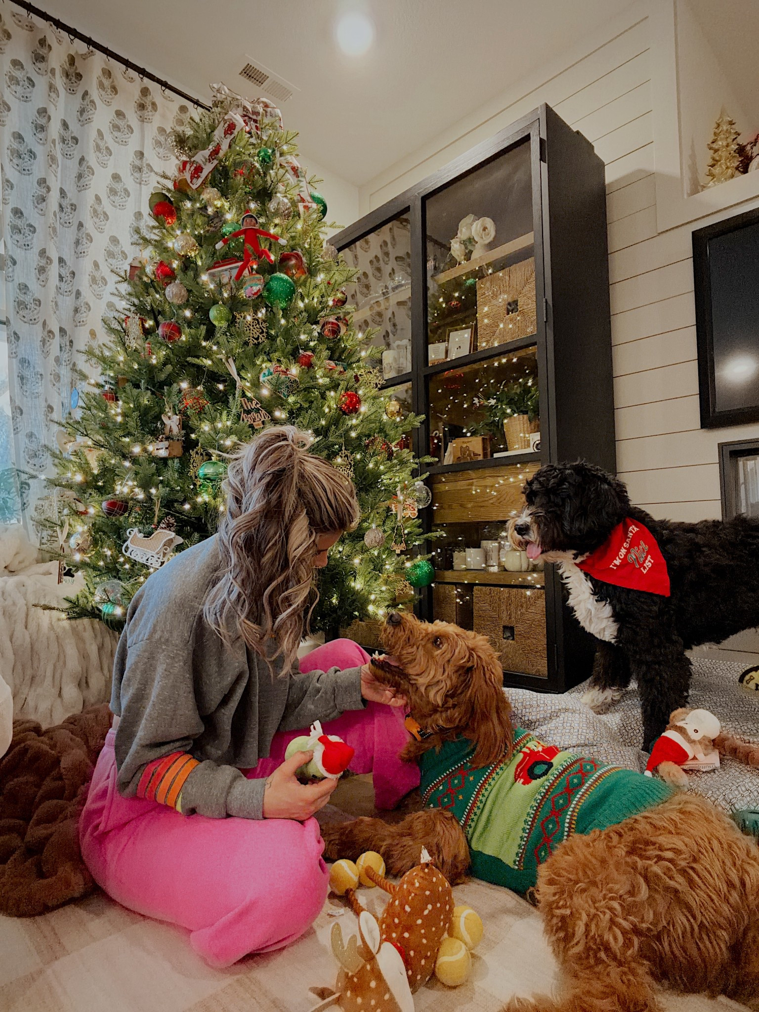 Petco is said to be where the pets go for a reason! Especially during the holiday season! (See what I did there?? 🫣) they have the cutest gifts for your floofs this season! Toys, Santa treats, and Christmas sweaters galore! Make sure to spoil your fur baby’s this Christmas ❤️ @petco #petcopartner #ad 


#LTKHoliday #LTKGiftGuide #LTKSeasonal