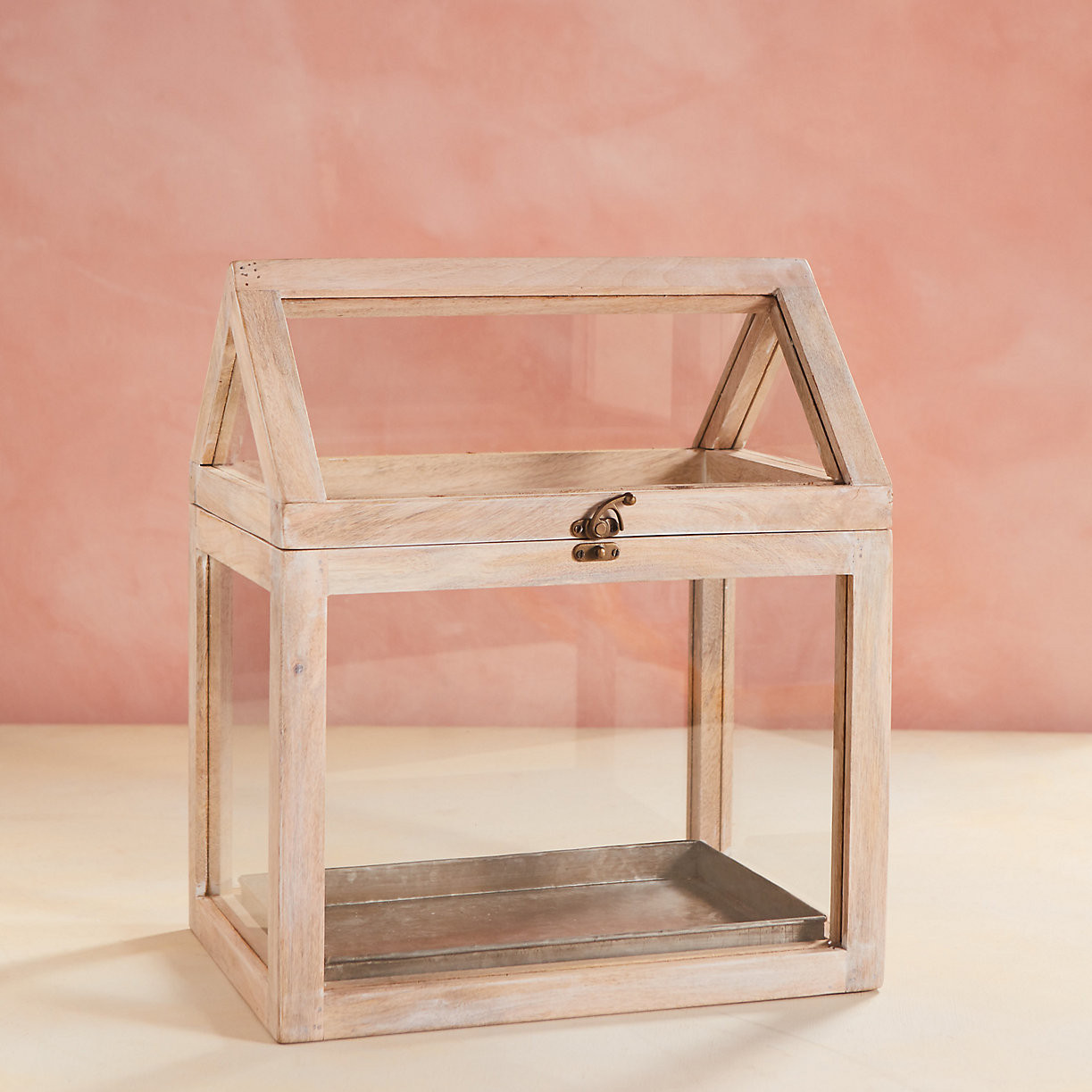 House Terrarium | Terrain