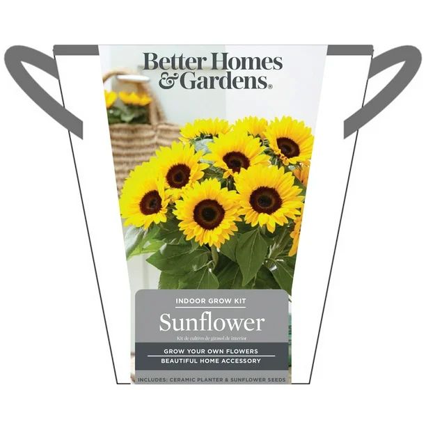 Grow Kit - Sunflower - Walmart.com | Walmart (US)