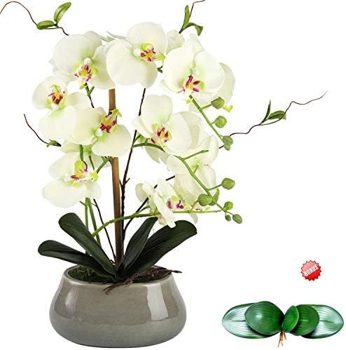 Artificial Orchid Flowers Centerpieces for Dining Room Table with Vase - Silk Fake Plants Arrange... | Amazon (US)