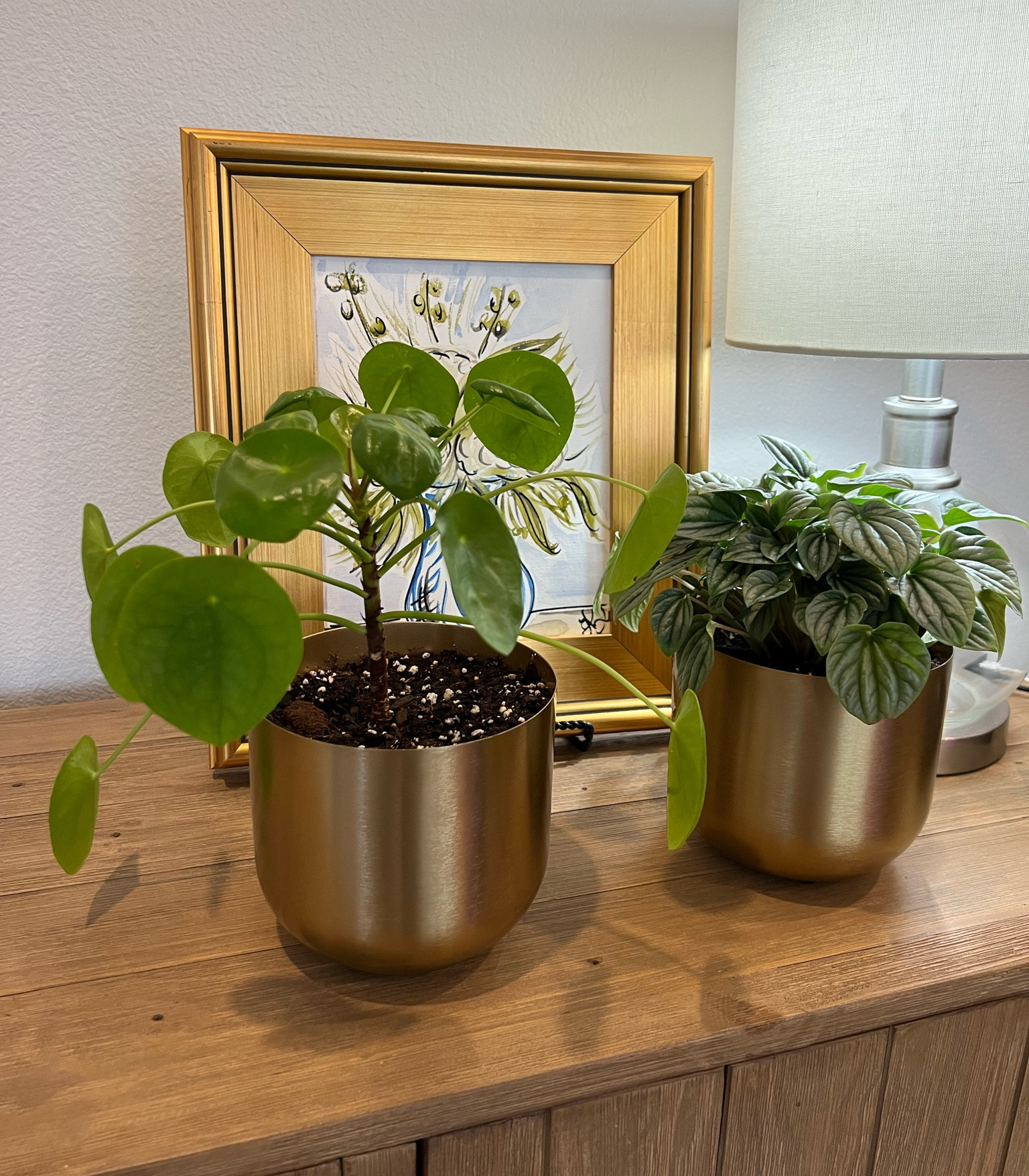 Gold small planter / indoor planter / small planter / chic planter / neutral planter / gold planter 

#LTKsalealert #LTKhome #LTKunder50