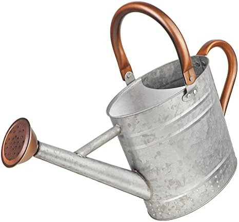 1 Gallon Metal Watering Can with Removable Spout, Nice Galvanized Steel Water Can with Embossed D... | Amazon (US)