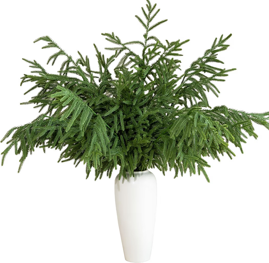 5 Pcs 36 Inch Artificial Norfolk Pine Stems Faux Christmas Greenery Evergreen Realistic Pine Bran... | Amazon (US)