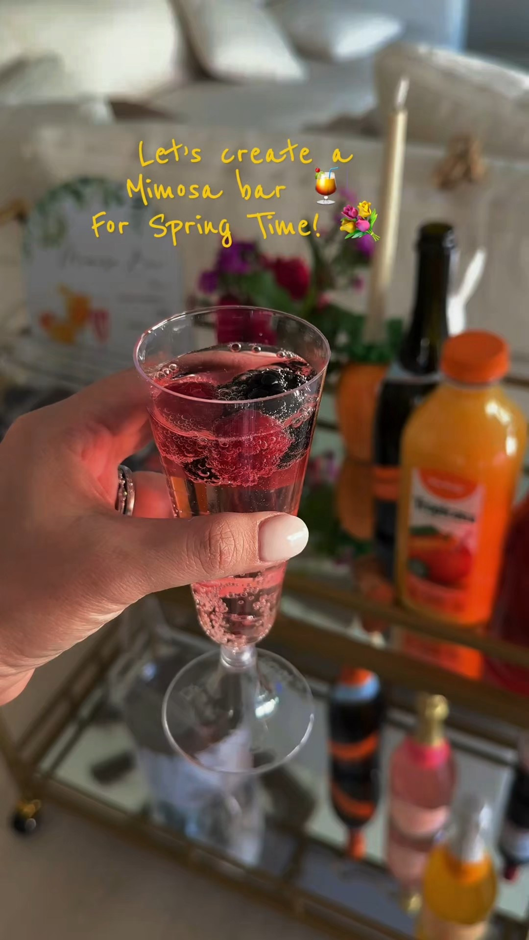 How to make a mimosa bar at home 


#mimosa #homebar #houseparty #cocktailbar #amazon

#LTKFamily #LTKHome