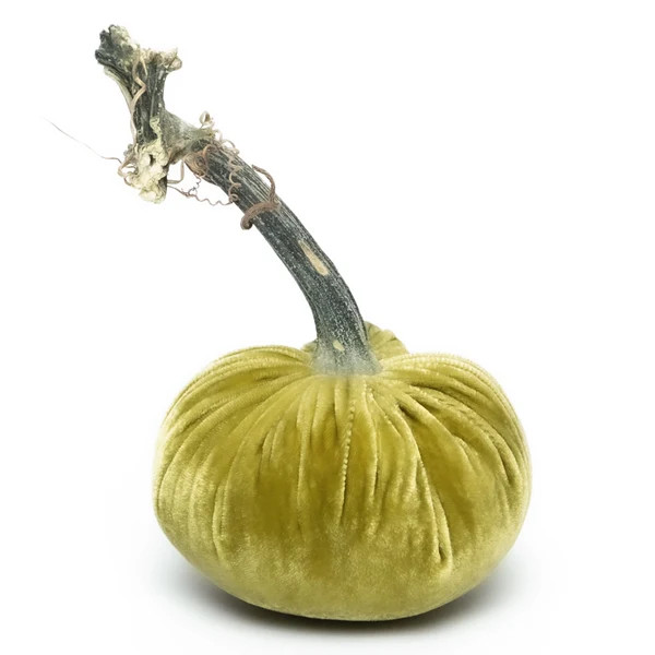Leaf Silk Velvet Pumpkin | Hot Skwash