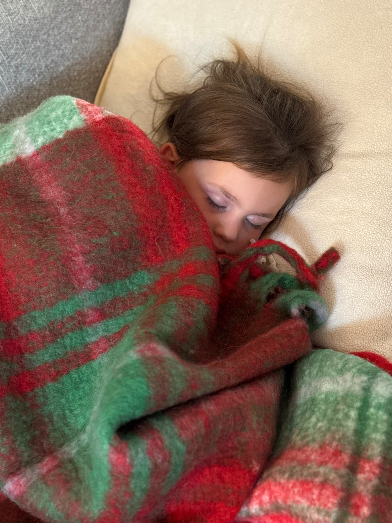 the colors, the fabric, screams holiday. it’s so soft and crazy inexpensive. I need 5 more of this blanket! 

#LTKHoliday #LTKFindsUnder50 #LTKSeasonal