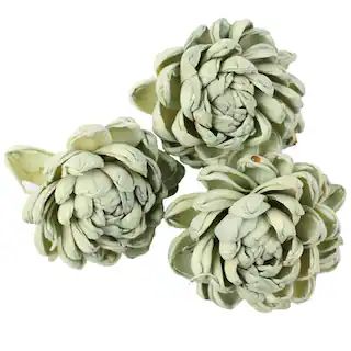 Sage Green Sola Flower Decorative Naturals by Ashland® | Michaels Stores