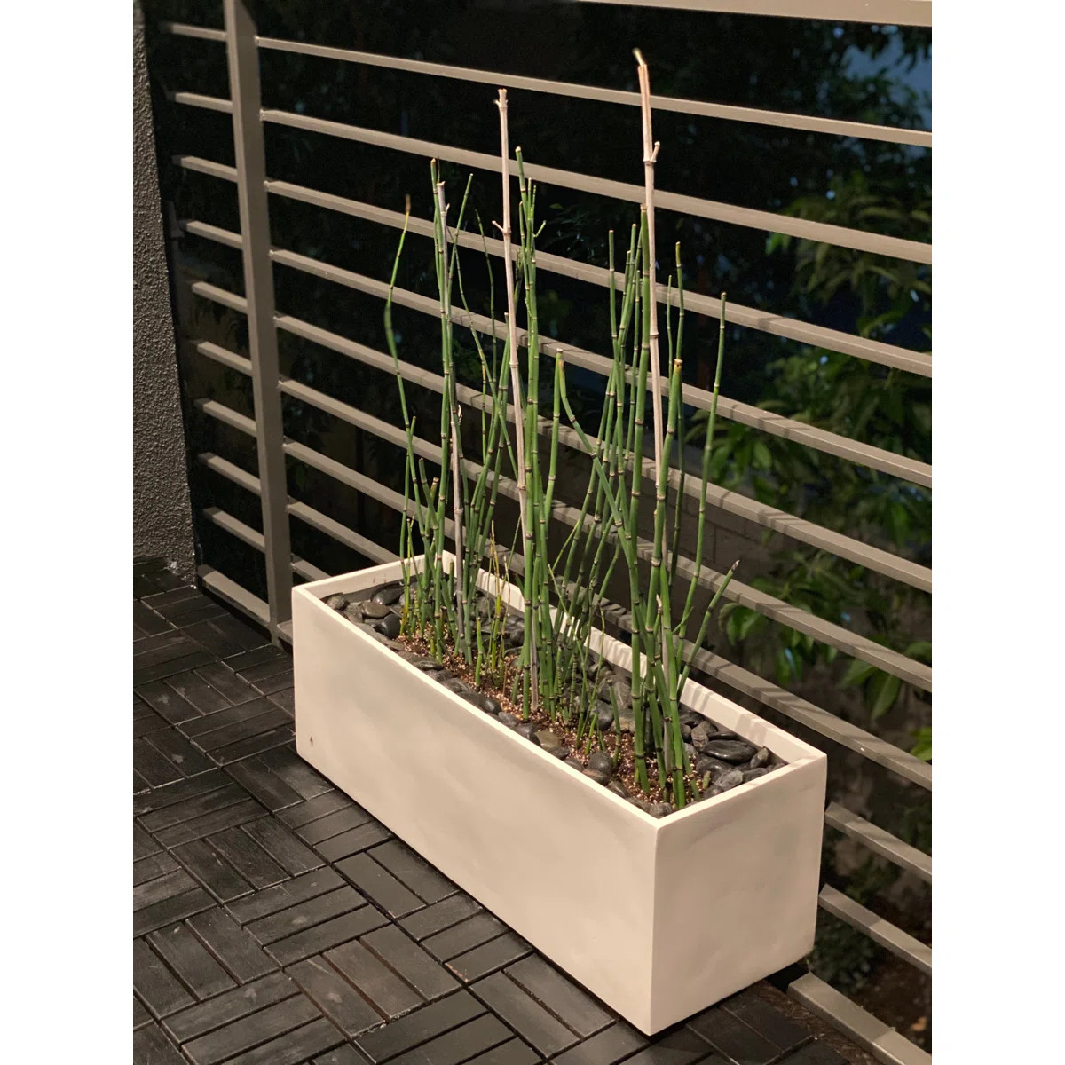 Cogburn Belmont Rectangle Planter Box | Wayfair North America