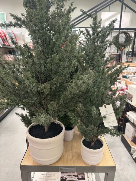 Love these faux potted trees from Target! Selling out quickly online. 

#LTKHoliday #LTKSeasonal #LTKhome