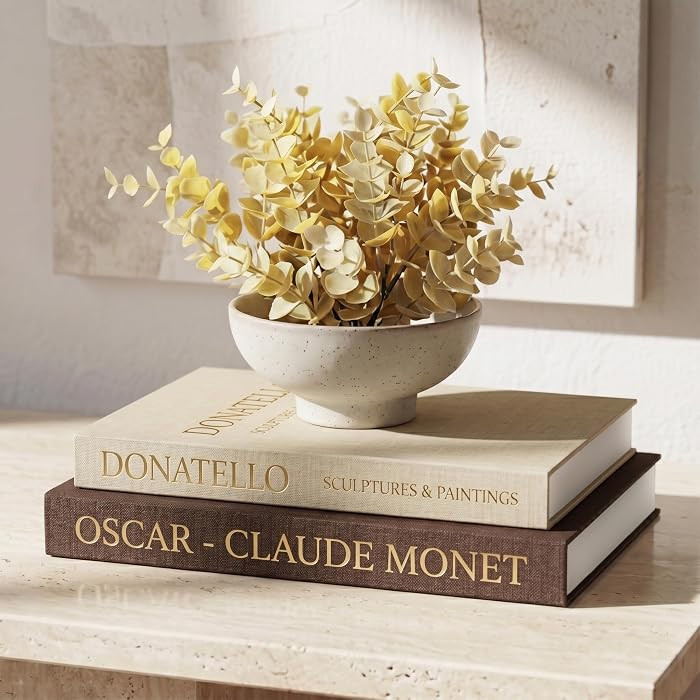 Decorative Books for Home Decor - Set of 2 Faux Books for Decoration with Secure Magnet Closure f... | Amazon (US)