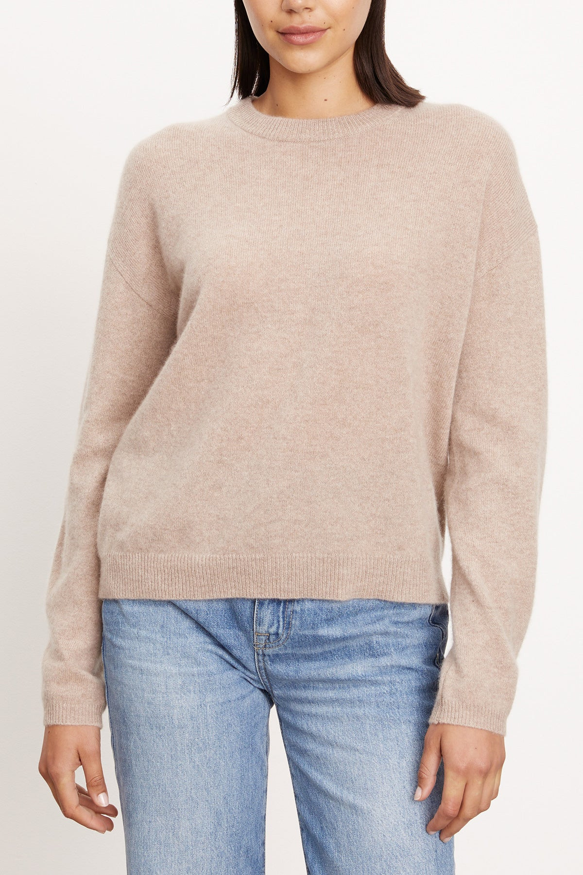 BRYNNE CASHMERE LONG SLEEVE CREW NECK SWEATER | Velvet by Graham & Spencer