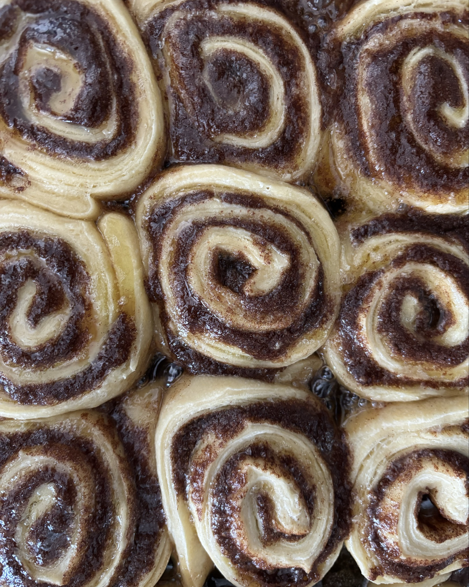 Sourdough cinnamon rolls! Linking all my baking essentials here!

#LTKHome #LTKWatchNow #LTKOver40