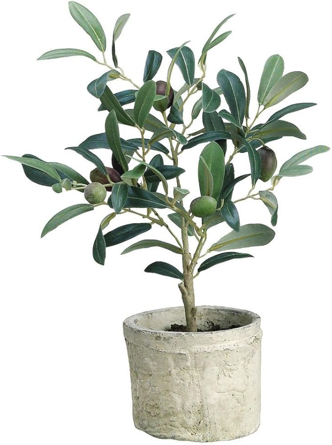 Green Plastic Potted Olive Tree - 12"H | Amazon (US)