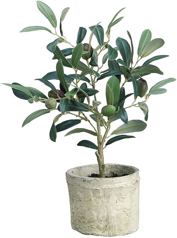 Green Plastic Potted Olive Tree - 12"H | Amazon (US)