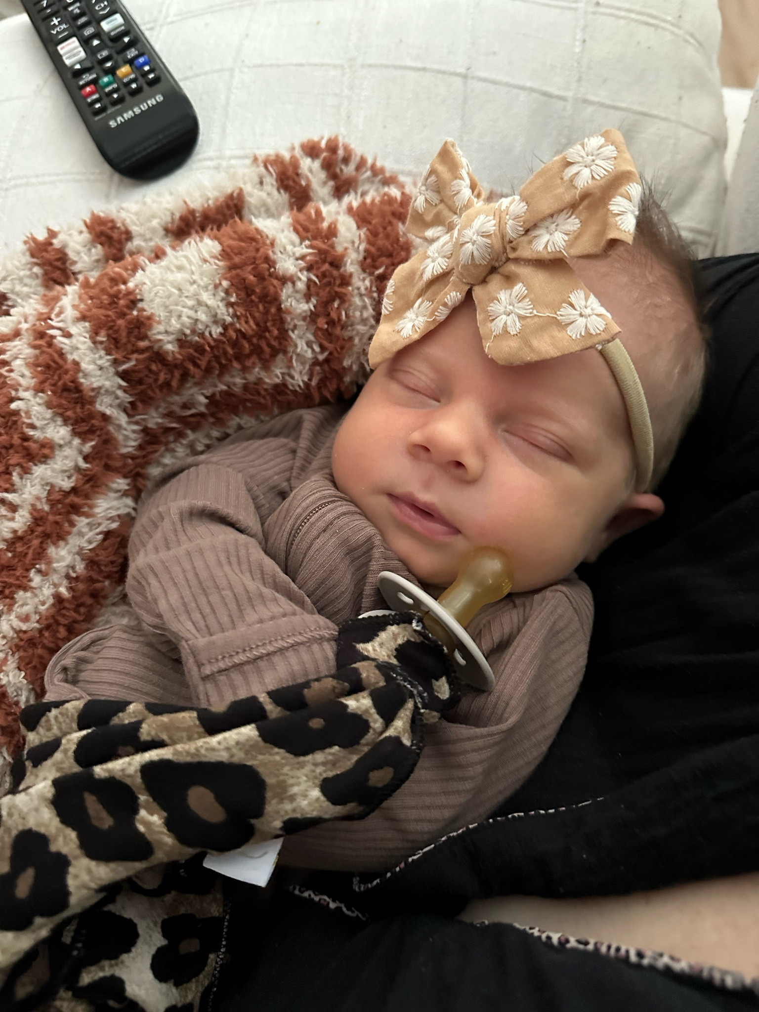 Cheap pack of 12 amazon bows!!! I have the Beige & Sand brown!!!