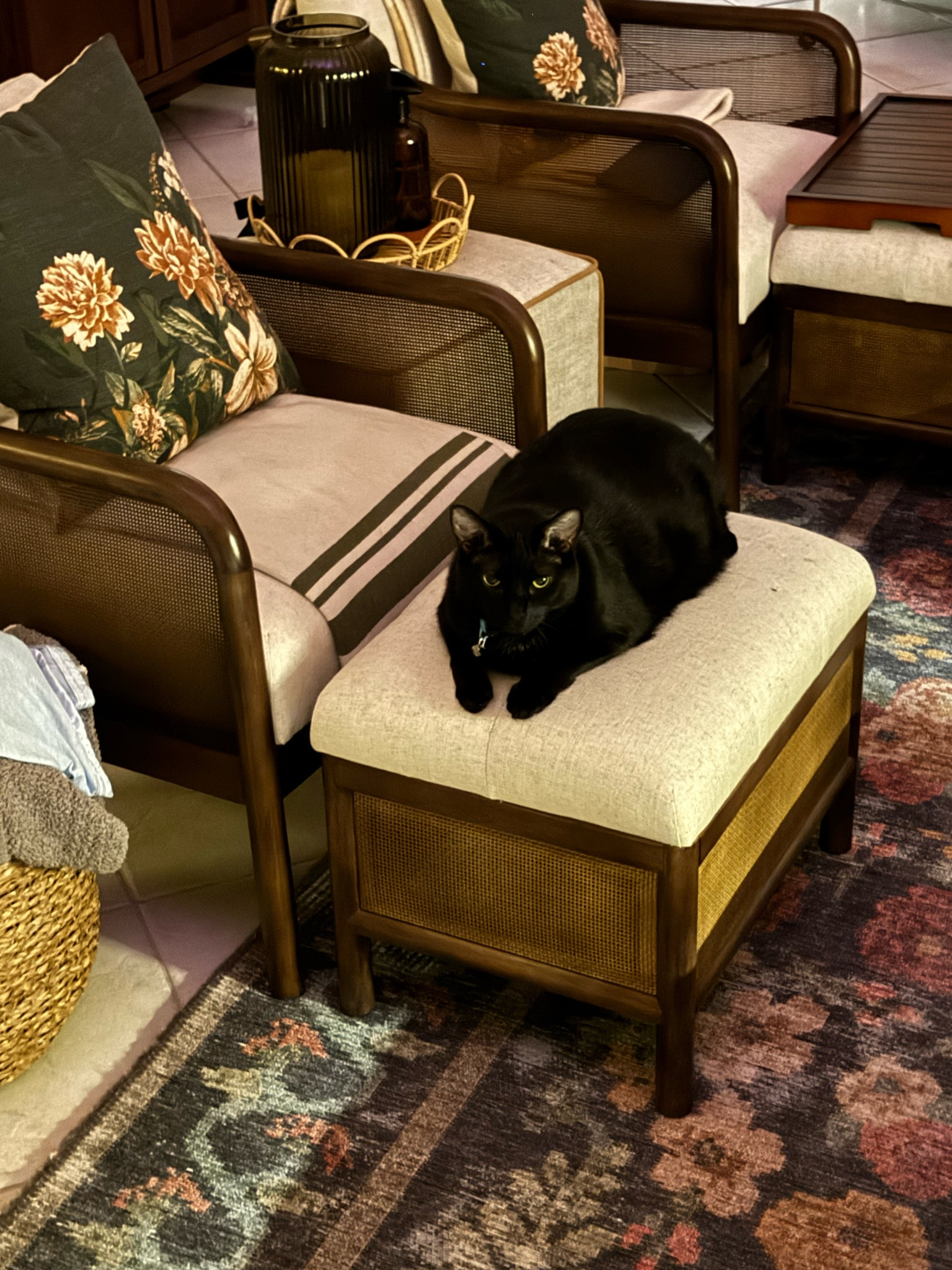 Sunday home chores made easier by Dyson and Bissell.

I use the Dyson vacuum at least once a day (if not more). And every time there’s even the tiniest spill on our upholstered sofa (that I’m trying to keep alive for a little longer) I’m so glad I have the little green machine from Bissell. No matter the stain, it comes out!
And since I hate mopping, the Bissell mop vac is the BEST! I use it all the time for touch ups in the kitchen between cleaning weeks!

#LTKHome