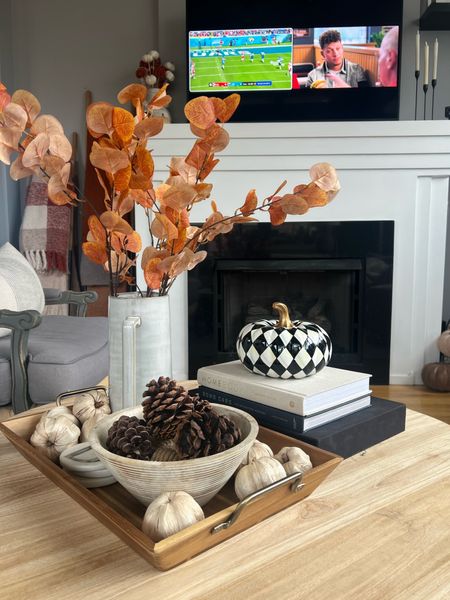 Fall living room decor- all from Target, Amazon and tj Maxx 

#LTKhome #LTKSeasonal