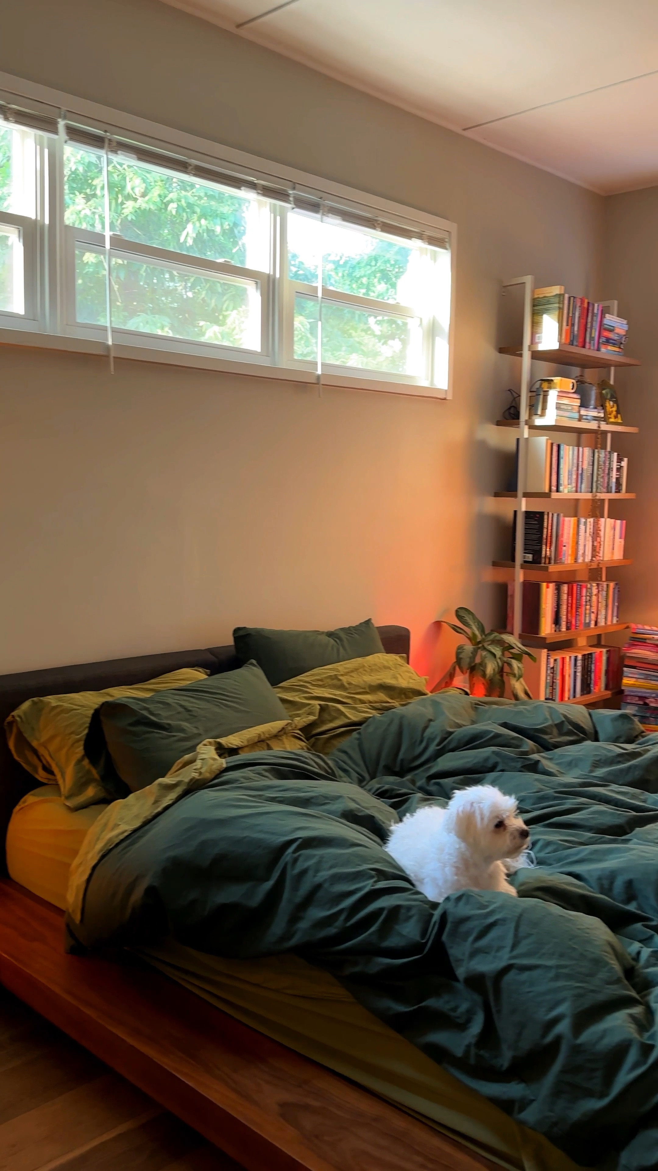 new green duvet cover! 💚

#LTKHome #LTKSaleAlert #LTKFindsUnder100