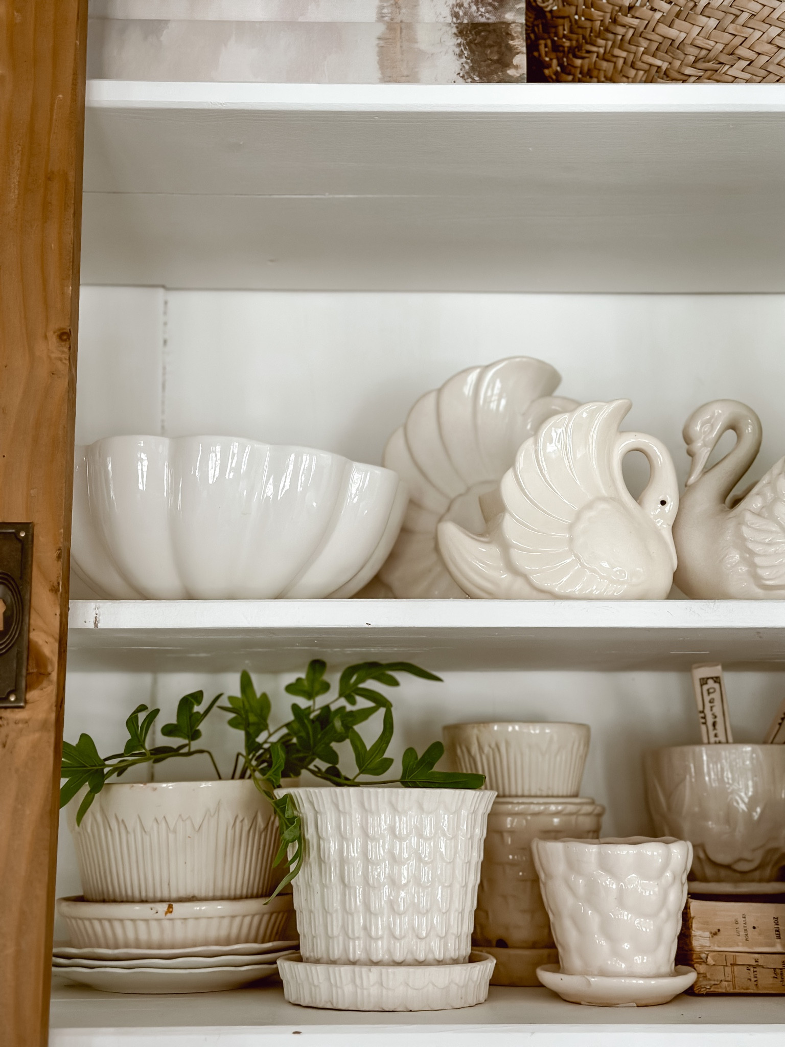 Cozy scallop & ruffle bowls 

#LTKhome #LTKFind