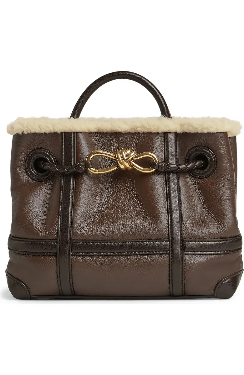 Bottega Veneta Small Andiamo Genuine Shearling Shoulder Bag | Nordstrom | Nordstrom