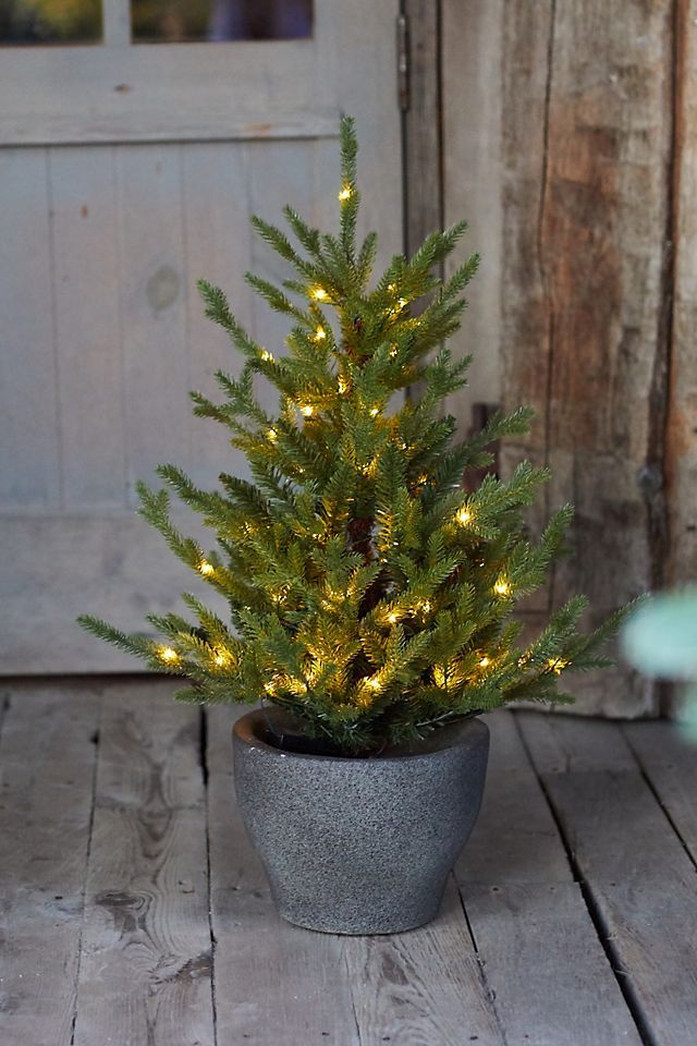 Faux Pre-lit LED Potted Norway Tabletop Tree | Anthropologie (US)