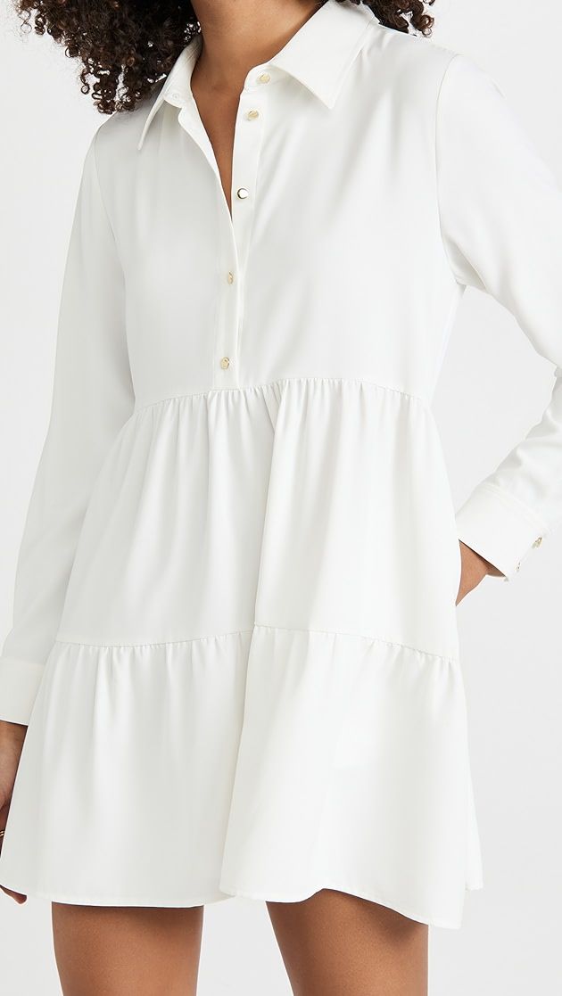 Long Sleeve Pierre Dress | Shopbop
