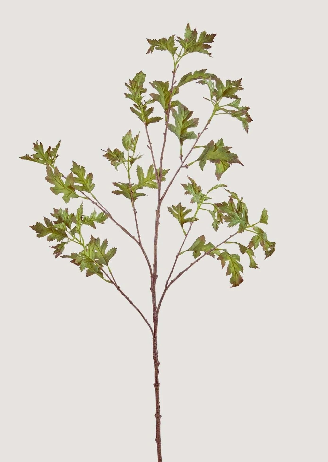 Artificial Common Hawthorn Leaf Branch - 42.5" | Afloral