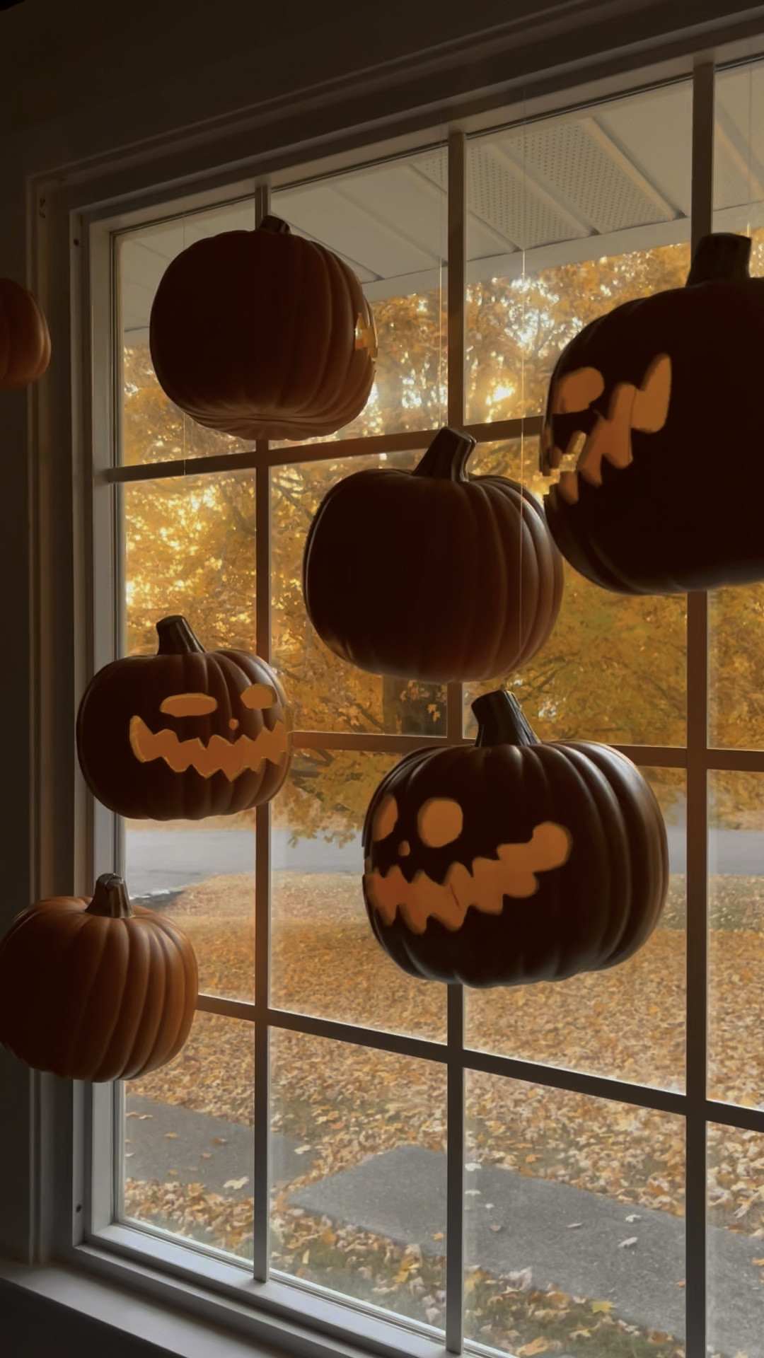 Halloween Decorations Harry Potter floating pumpkin tutorial! 🎃

#halloween #halloweendecorations #codeorange #spookyseason #spookyszn #autumn #autumnvibes #darkacademia #darkacademiaaesthetic #harrypotter #harrypotterhalloween #floatingcandles #fall #fallvibes #falldecor #homedecor #fyp #foryou #foryoupage #halloweendecor #floatingpumpkins #diyhalloween #diyhalloweendecor 

#LTKhome #LTKHalloween #LTKSeasonal