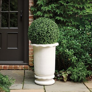 Carmela Planter with Wavy Rim & Architectural Chalk White Finish | Ballard Designs, Inc.