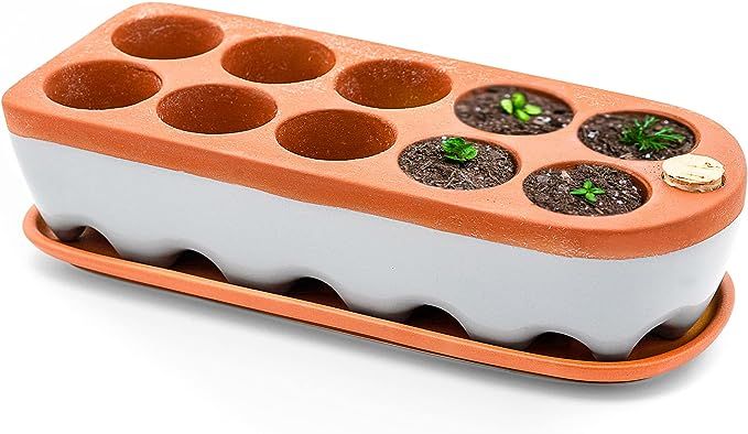 Seed Starter Tray - Self Watering Seedling Trays Seed Starter kit & seed starter pots. Grow Your ... | Amazon (US)