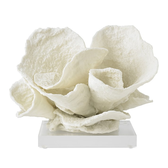 Oversize Coral on Stand, Blade, White | Williams-Sonoma