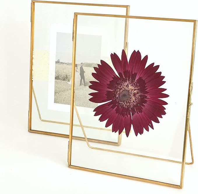 Double Glass Frame for Pressed Flowers, Leaf and Artwork,Gold Standing Metal Picture Frames, Set ... | Amazon (US)