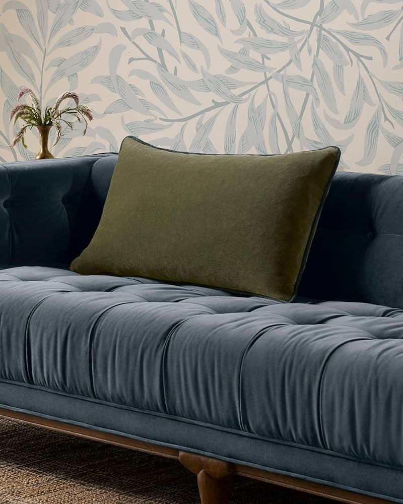 Visit the Store | Amazon (US)