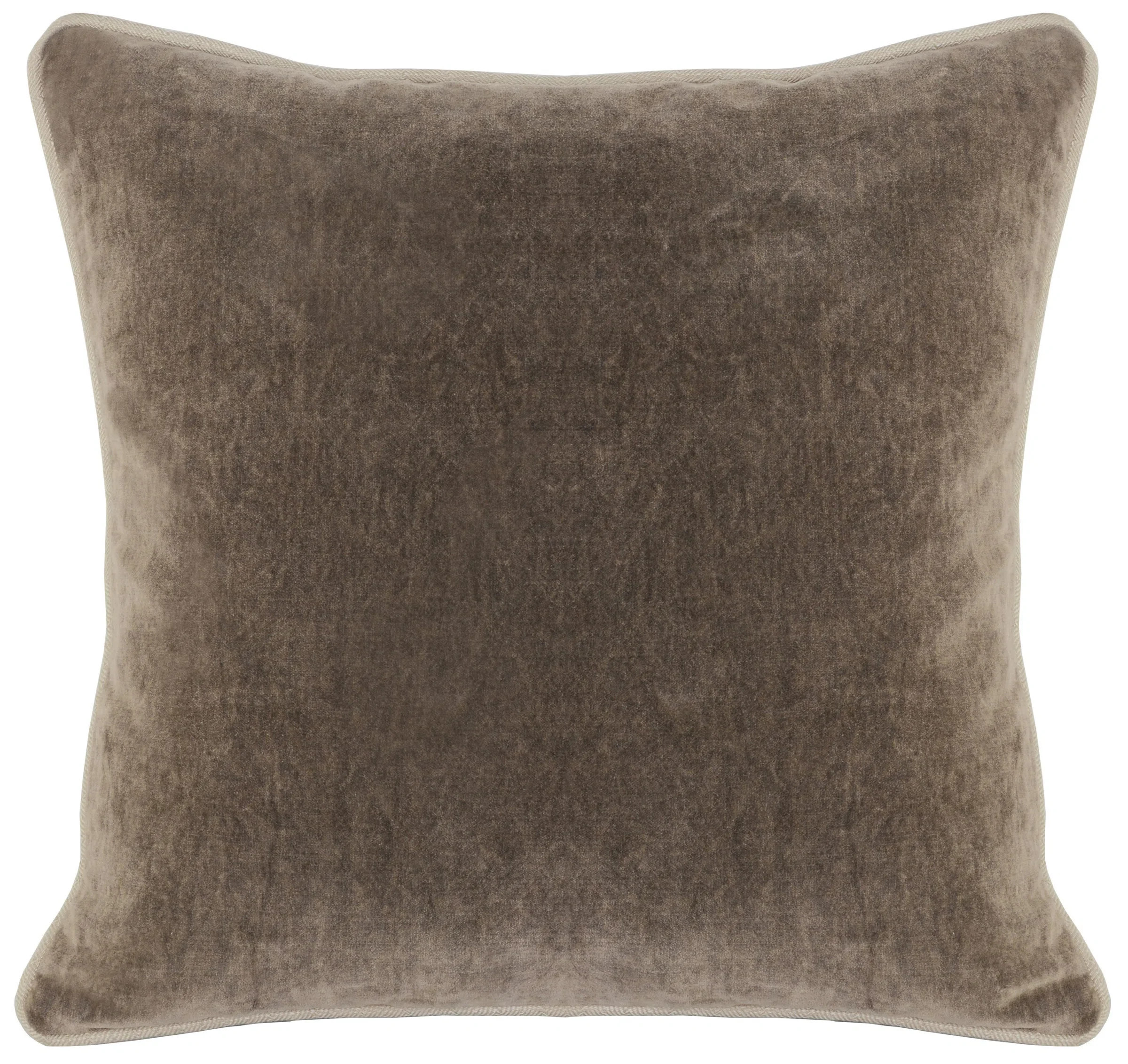 Goodall Velvet Pillow Cover & Insert | Wayfair North America