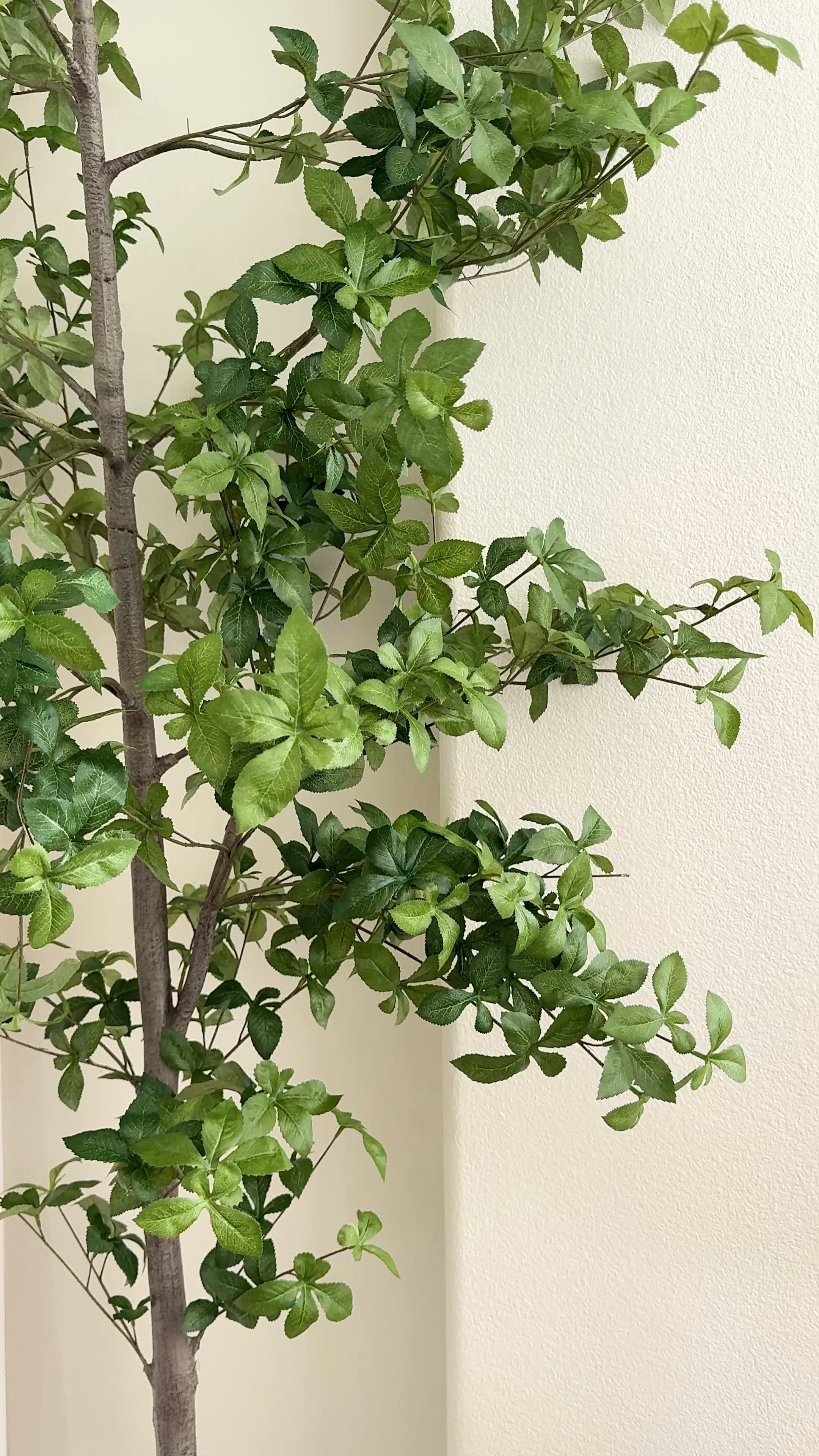 The perfect faux tree for home!

