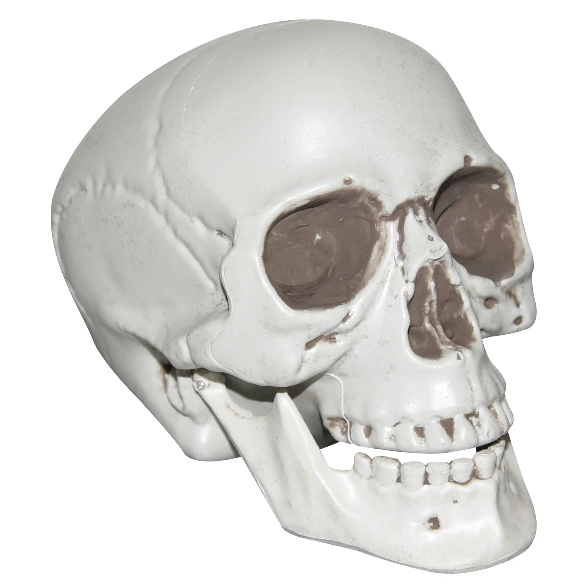 8" Plastic Skull by Ashland®-Halloween Home Decor - Walmart.com | Walmart (US)