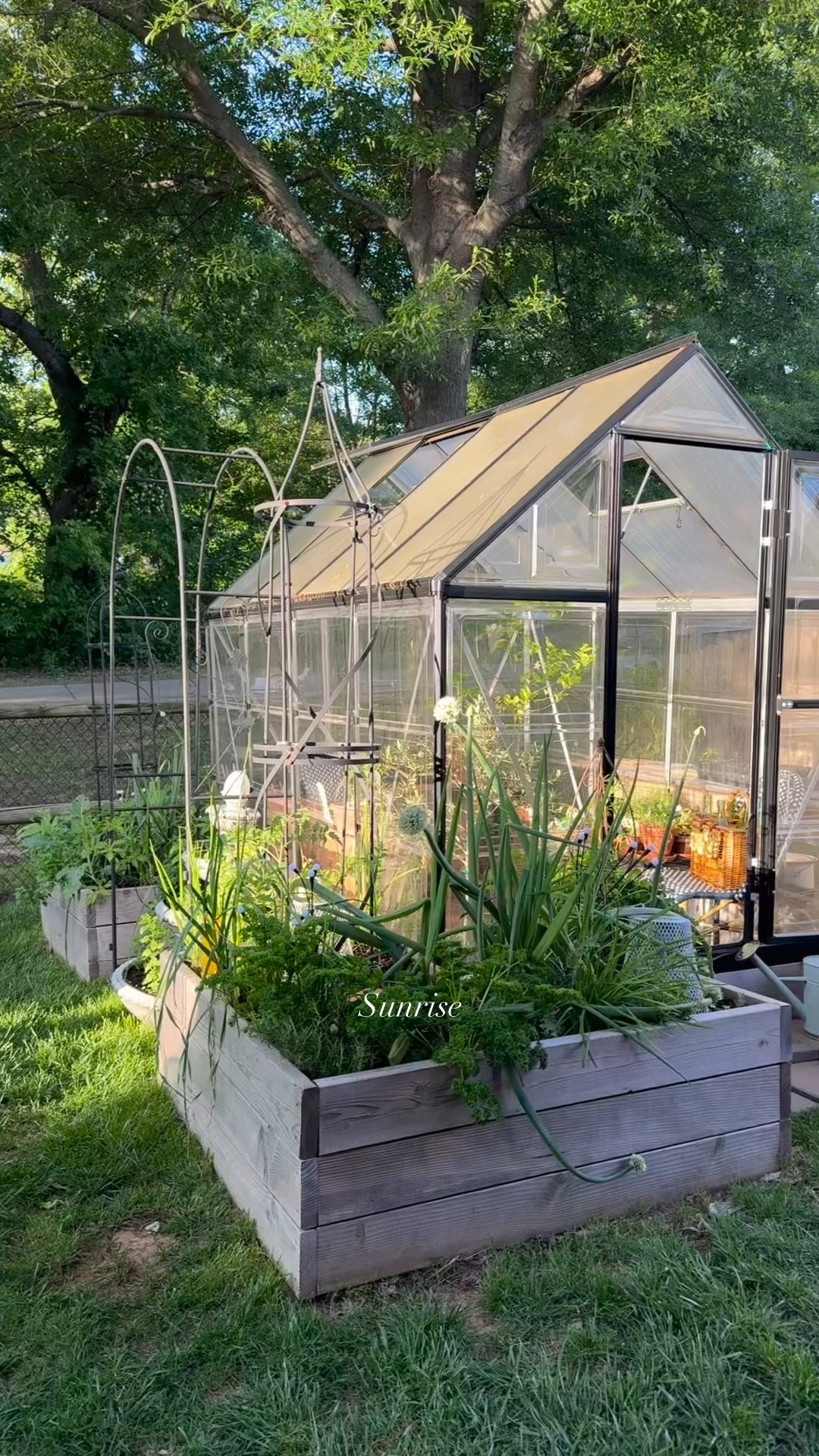 Gardening in my kitchen garden🌱

Greenhouse, herbs, herb garden, raised bed, trellis, tomato, vegetable, arch, lowes, Walmart, terracotta 

#LTKHome