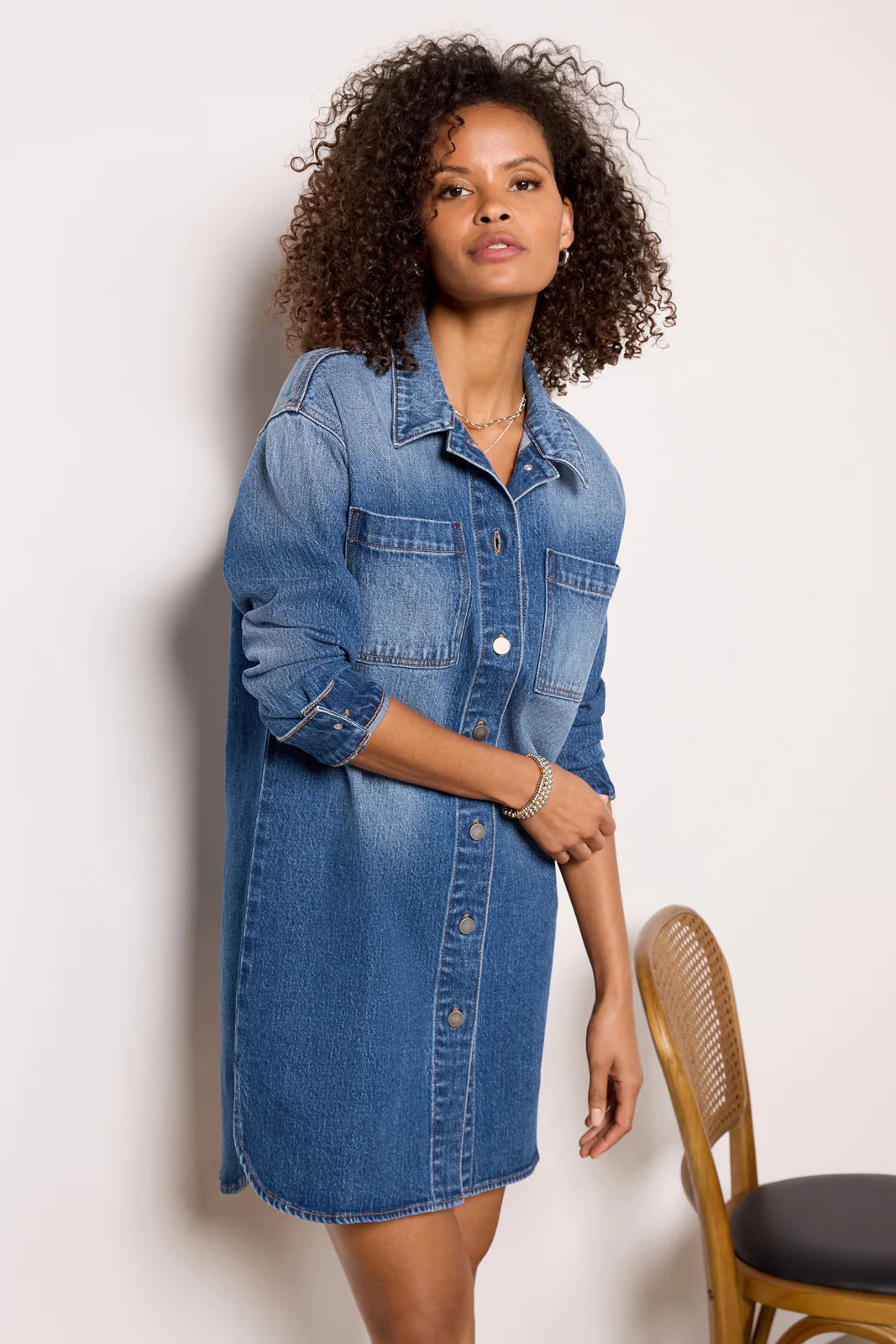 Ever Denim Dress | Evereve